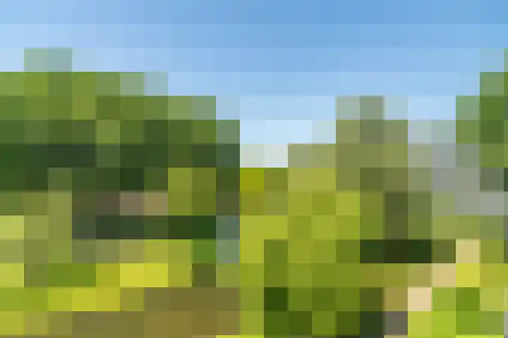 Alferbos 188 Zoetermeer thumbnail 36