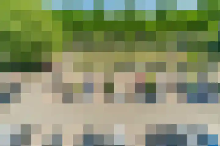 Alferbos 188 Zoetermeer thumbnail 37
