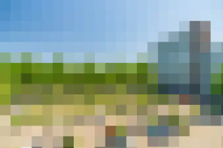 Alferbos 188 Zoetermeer thumbnail 38
