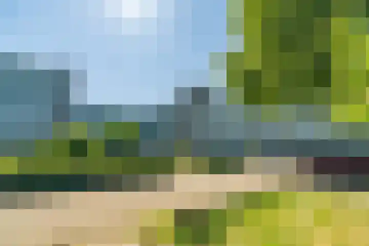 Alferbos 188 Zoetermeer thumbnail 39