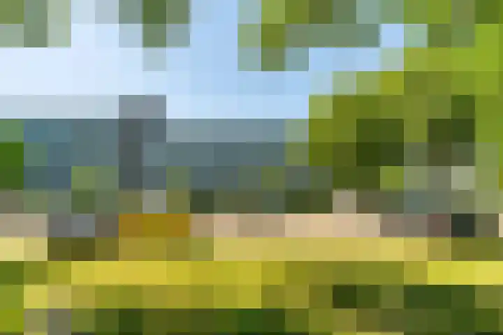 Alferbos 188 Zoetermeer thumbnail 40