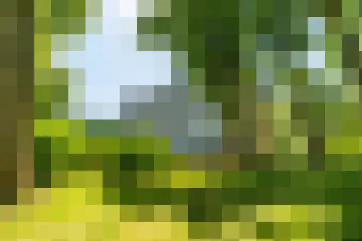 Alferbos 188 Zoetermeer thumbnail 42