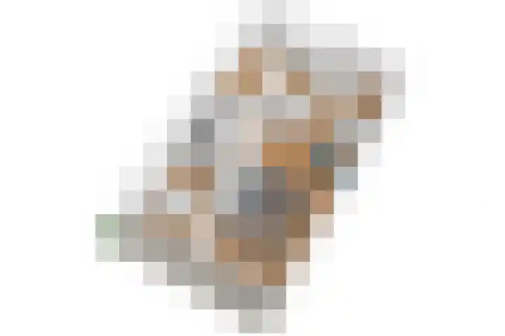 Alferbos 188 Zoetermeer thumbnail 45