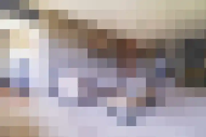 Alferbos 188 Zoetermeer thumbnail 6