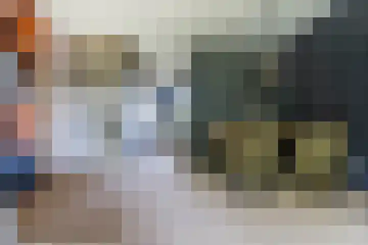 Alferbos 188 Zoetermeer thumbnail 7
