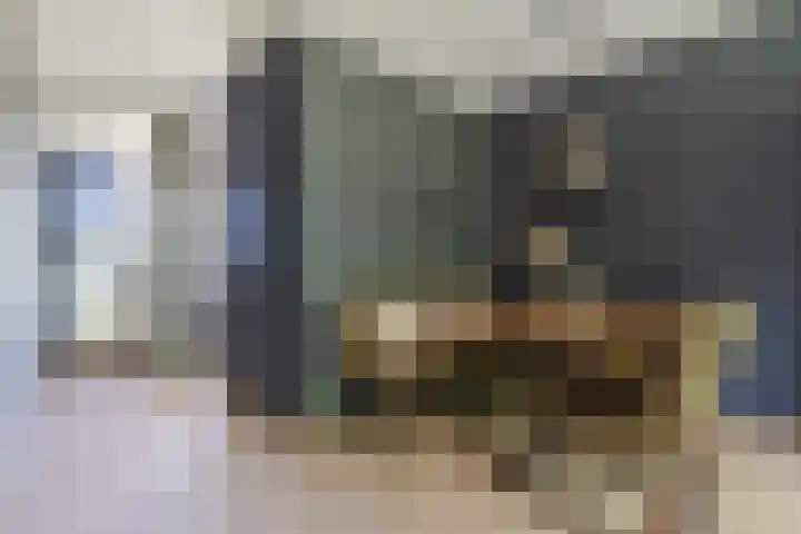 Alferbos 188 Zoetermeer thumbnail 8