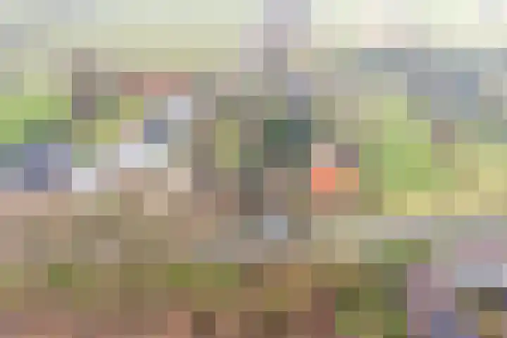 Alferbos 188 Zoetermeer thumbnail 9