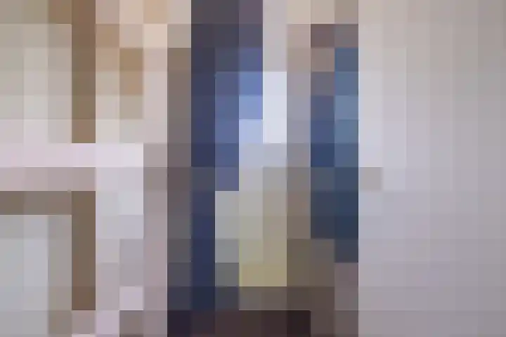 Alferbos 188 Zoetermeer thumbnail 9