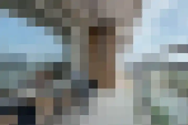 Alfred Nobellaan 583 De Bilt thumbnail 15