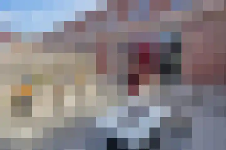 Algarve 35 Purmerend thumbnail 19