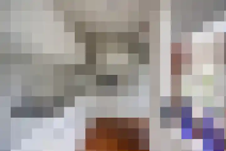 Algeraburren 14 Workum thumbnail 12