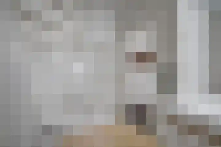 Algeraburren 14 Workum thumbnail 17