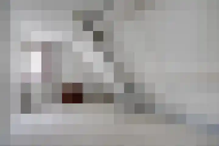 Algeraburren 14 Workum thumbnail 18