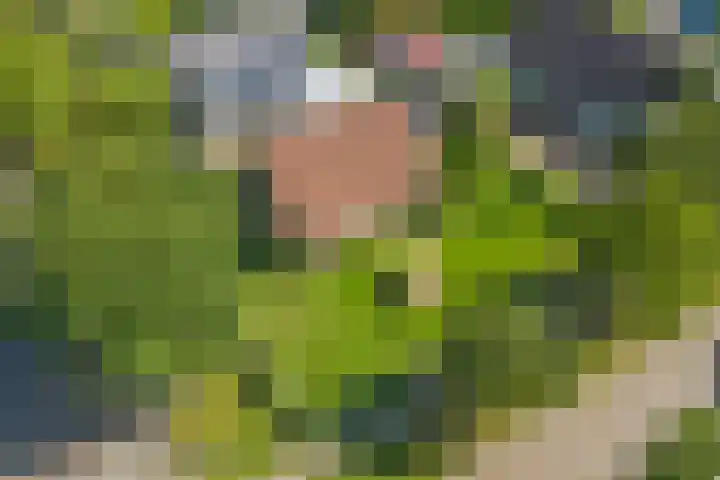 Algeraburren 14 Workum thumbnail 23