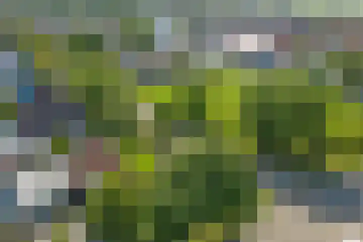 Algeraburren 14 Workum thumbnail 24