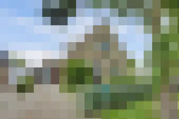 Algeraburren 14 Workum thumbnail 25