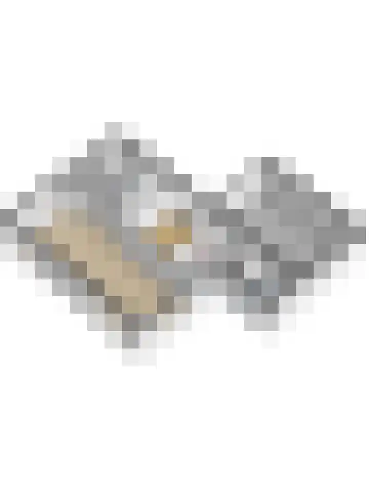 Algeraburren 14 Workum thumbnail 28