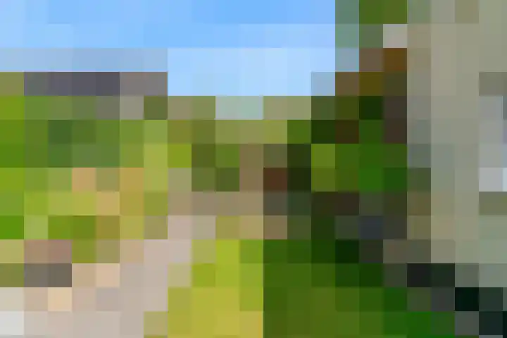 Algeraburren 14 Workum thumbnail 32