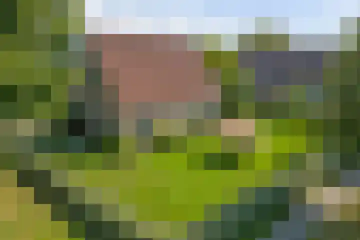Algeraburren 14 Workum thumbnail 33