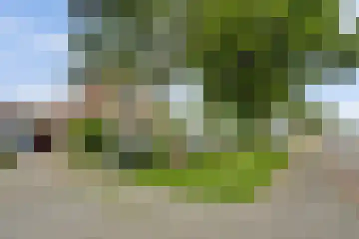 Algeraburren 14 Workum thumbnail 4