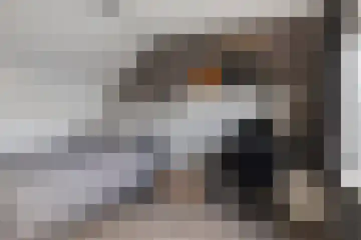 Alholm 18 Hoofddorp thumbnail 30