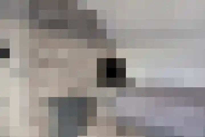 Alholm 18 Hoofddorp thumbnail 31