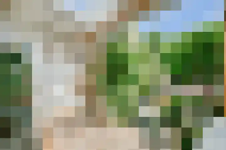 Alholm 19 Hoofddorp thumbnail 34