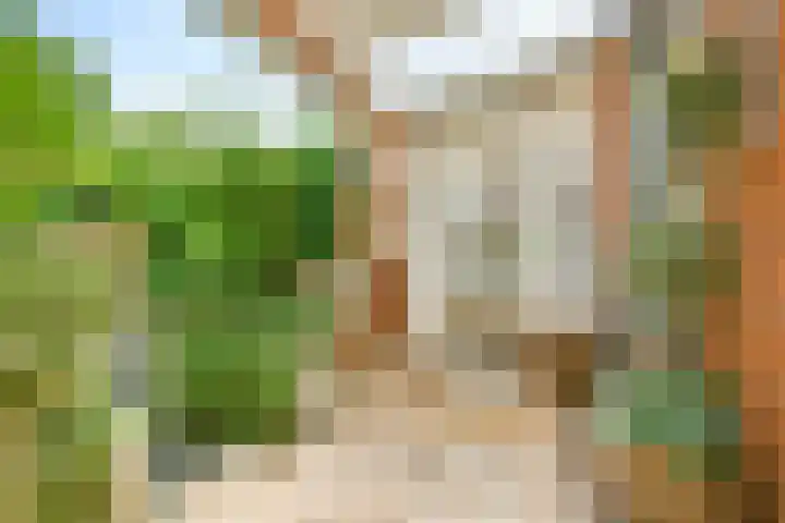 Alholm 19 Hoofddorp thumbnail 35