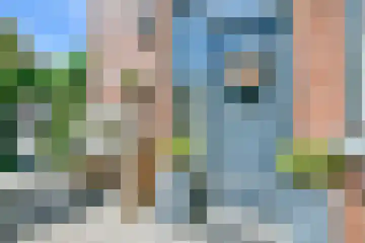 Alholm 19 Hoofddorp thumbnail 5