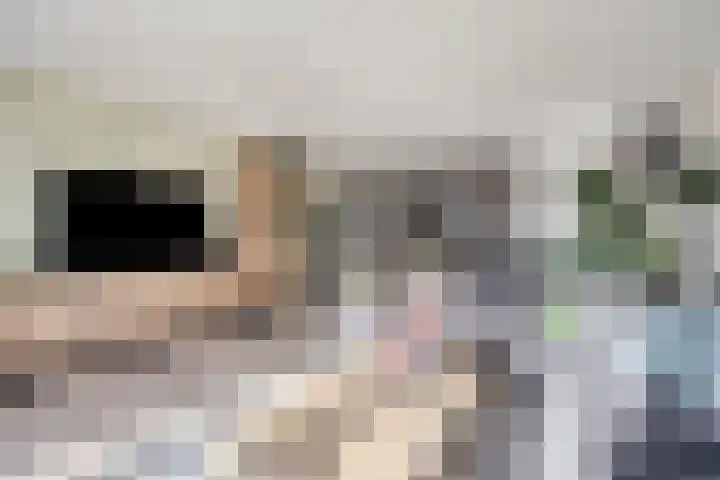 Alholm 64 Hoofddorp thumbnail 13