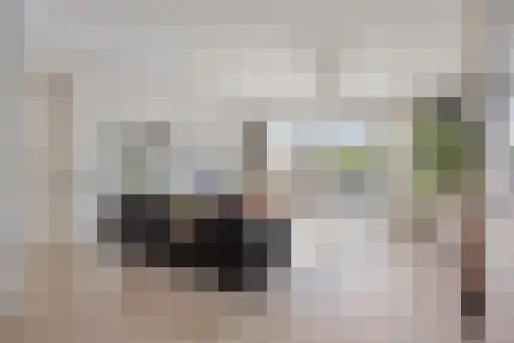 Alholm 64 Hoofddorp thumbnail 14