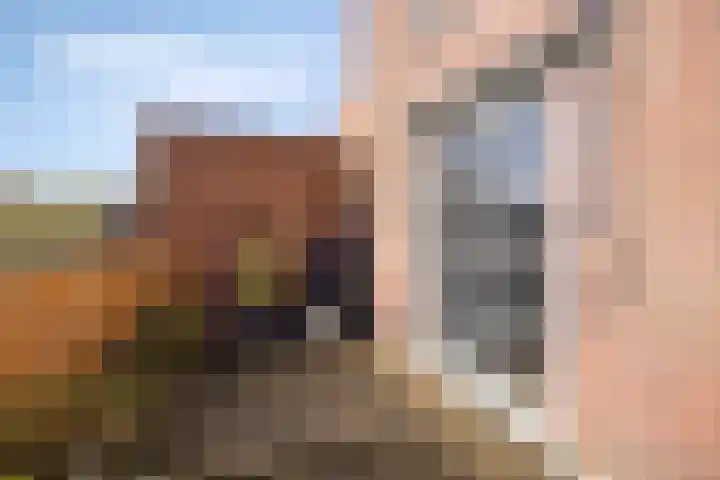 Alholm 64 Hoofddorp thumbnail 29