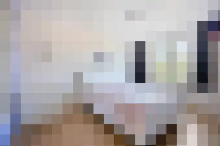 Alholm 64 Hoofddorp thumbnail 44