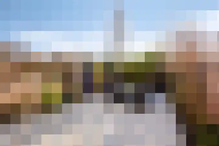 Alholm 64 Hoofddorp thumbnail 47