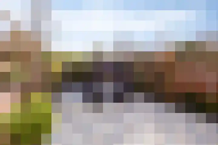 Alholm 64 Hoofddorp thumbnail 48