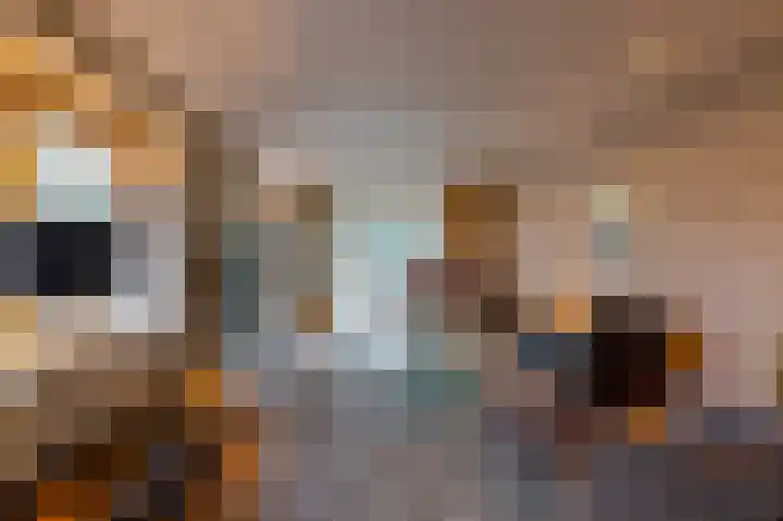 Alinghoek 4 Drouwen thumbnail 10