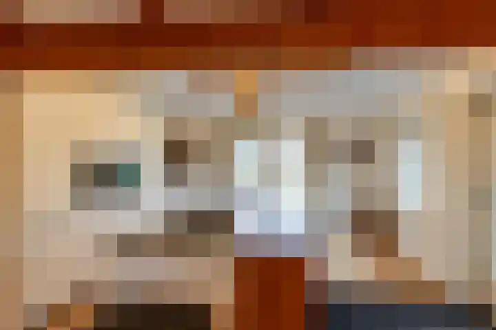 Alinghoek 4 Drouwen thumbnail 14