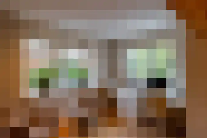 Alinghoek 4 Drouwen thumbnail 18