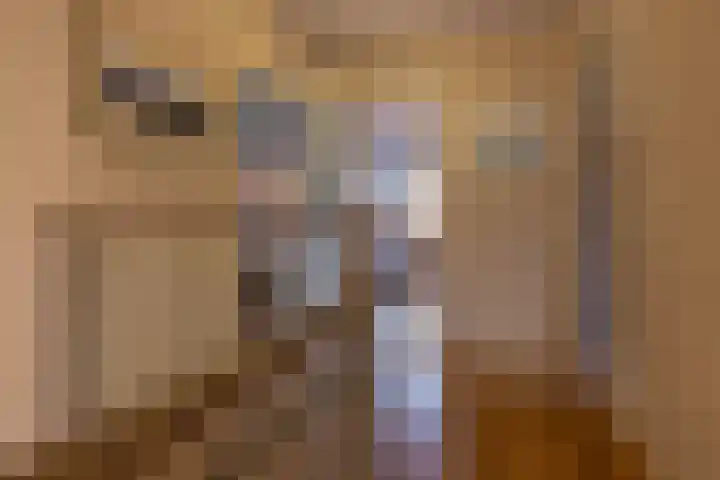Alinghoek 4 Drouwen thumbnail 23