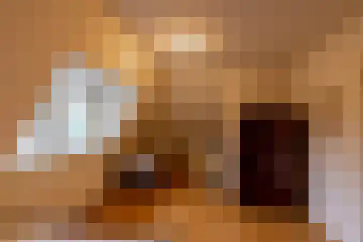 Alinghoek 4 Drouwen thumbnail 25