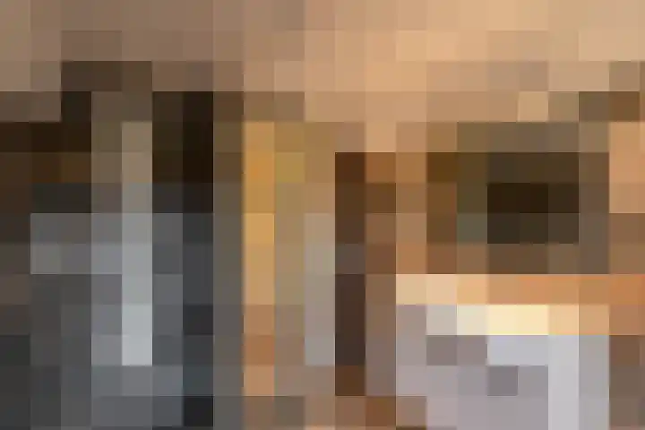 Alinghoek 4 Drouwen thumbnail 27