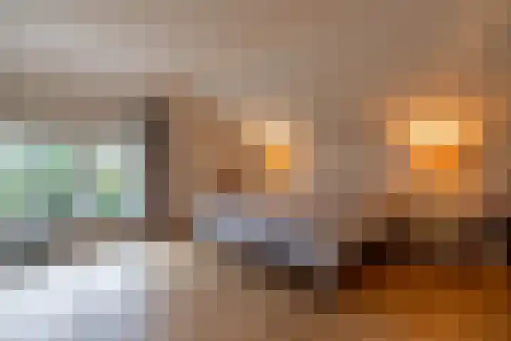 Alinghoek 4 Drouwen thumbnail 28
