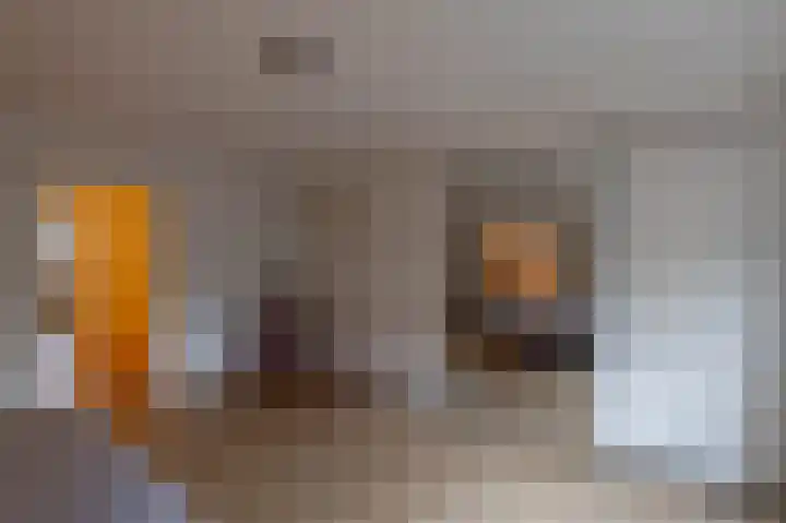 Alinghoek 4 Drouwen thumbnail 29