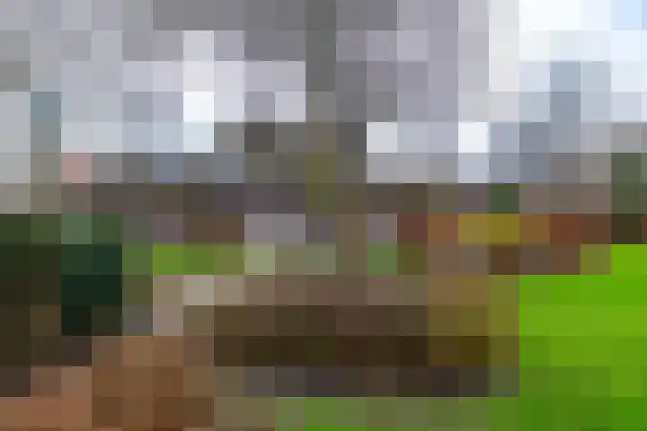 Alinghoek 4 Drouwen thumbnail 30
