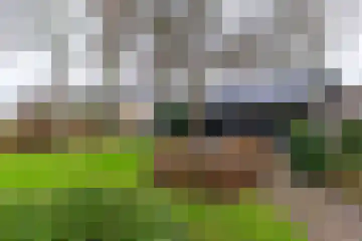 Alinghoek 4 Drouwen thumbnail 32
