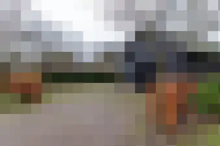 Alinghoek 4 Drouwen thumbnail 34