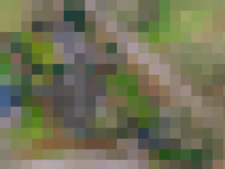Alinghoek 4 Drouwen thumbnail 36