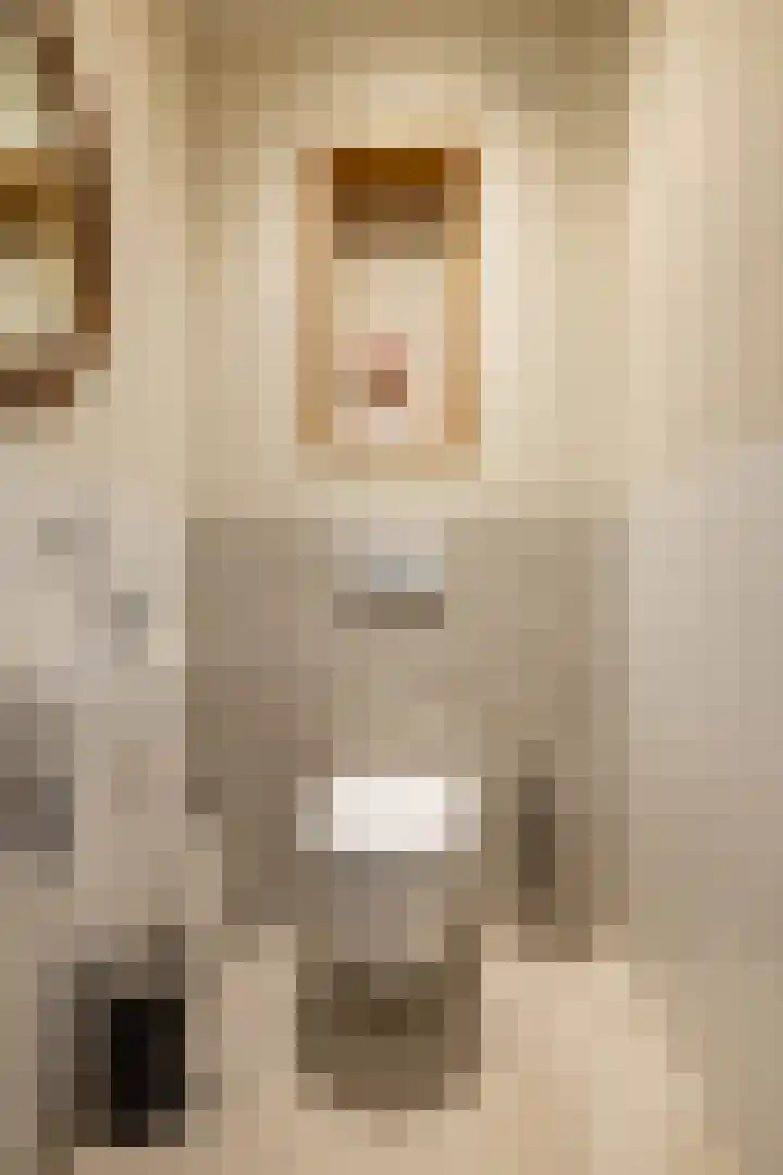 Alinghoek 4 Drouwen thumbnail 7