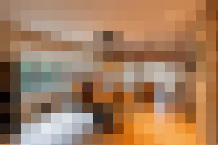 Alinghoek 4 Drouwen thumbnail 8