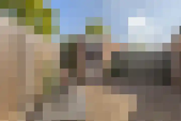 Alkenberg 1 Roosendaal thumbnail 27